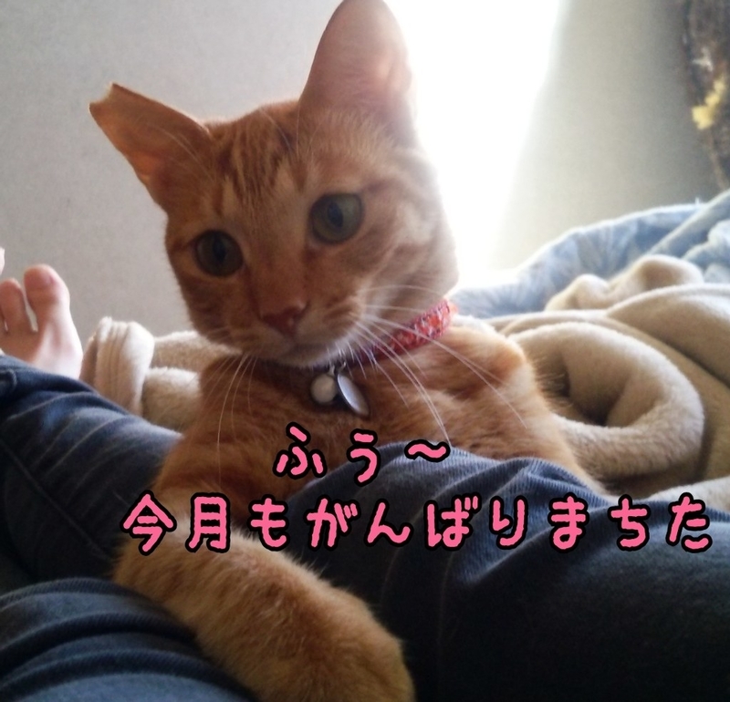 イメージ 6