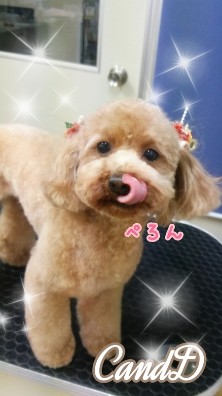 イメージ 1