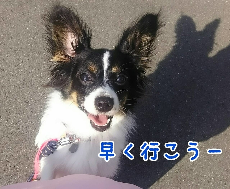 イメージ 2