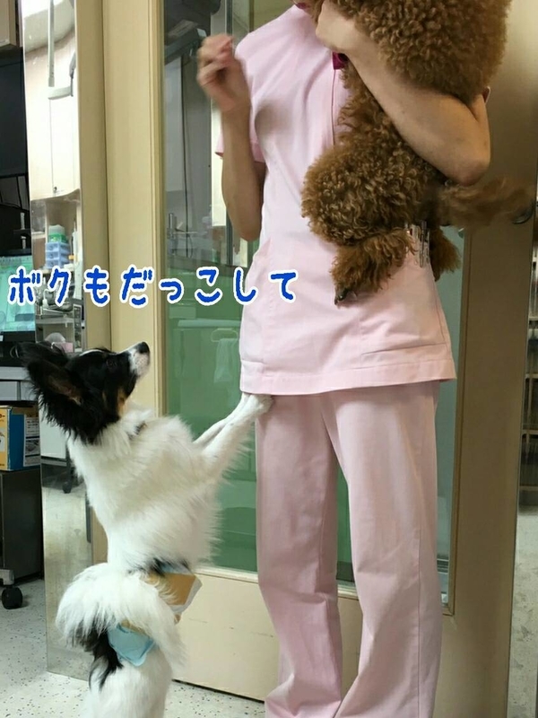 イメージ 4