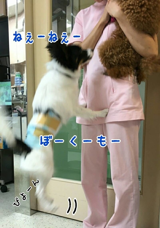 イメージ 5