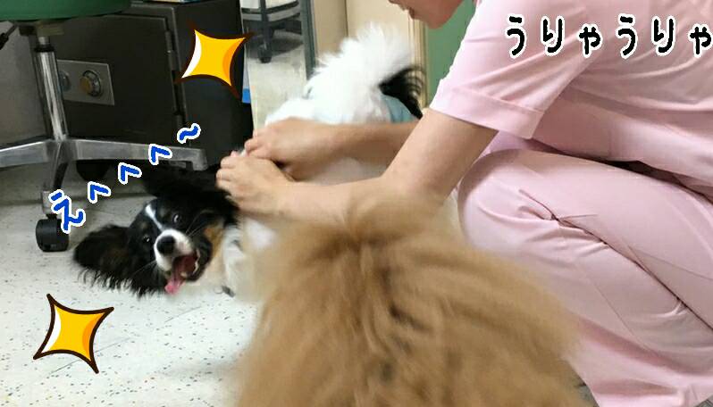イメージ 6