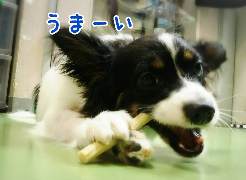 イメージ 7