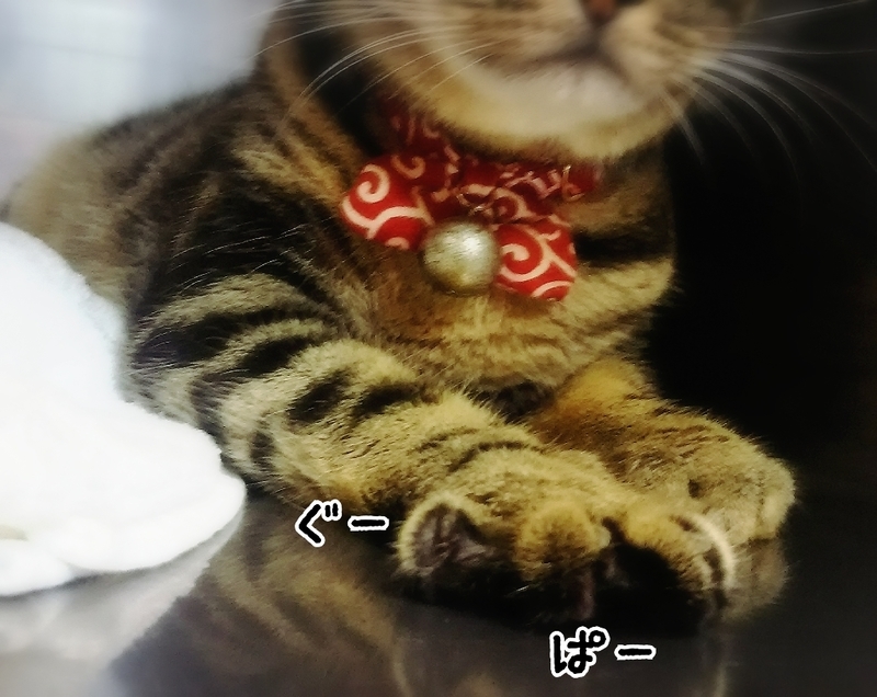 イメージ 6