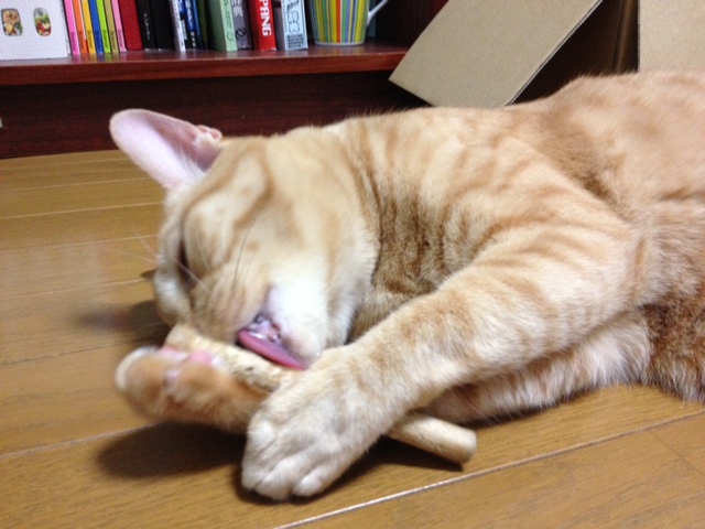 イメージ 6
