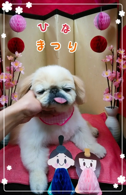 イメージ 3