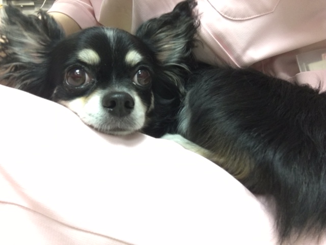 イメージ 8