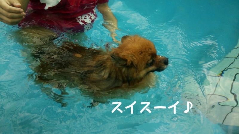 イメージ 12