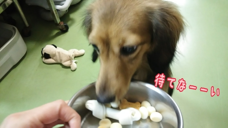 イメージ 4