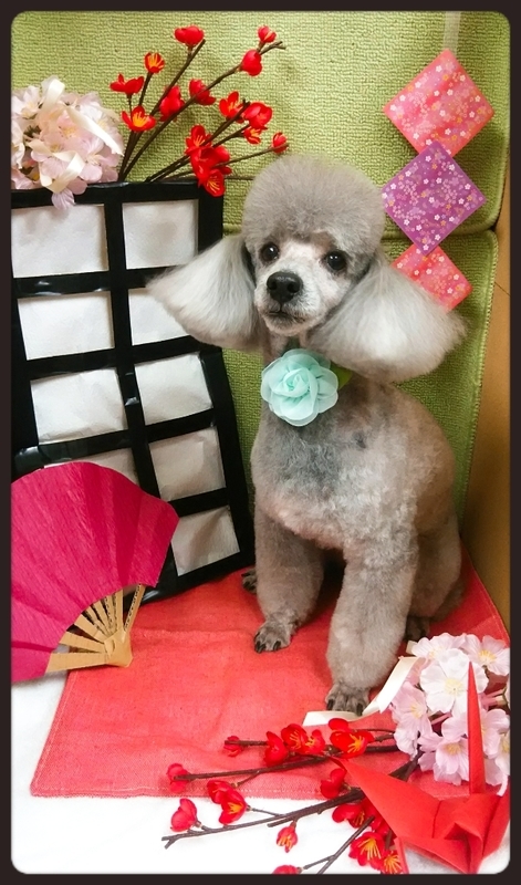 イメージ 6