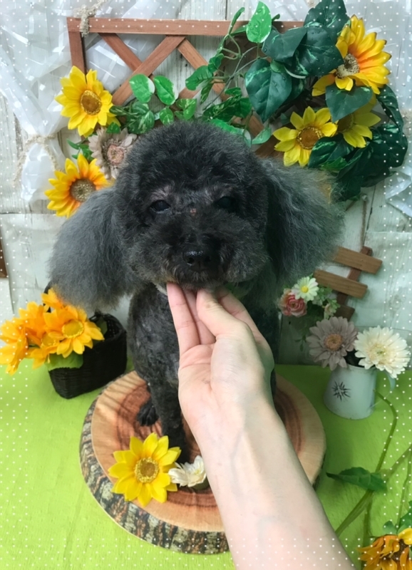 イメージ 3