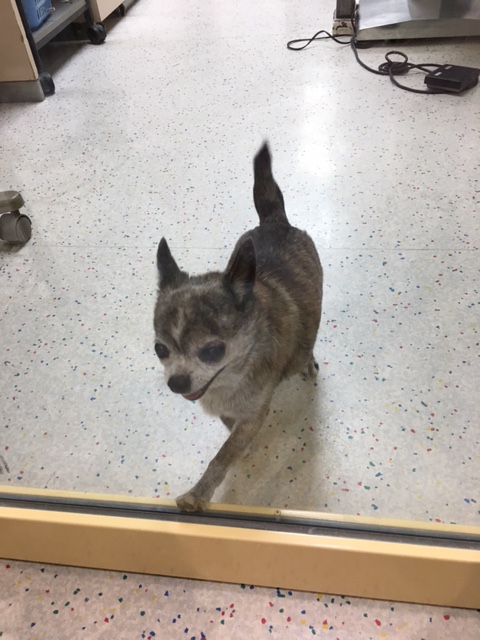 イメージ 6