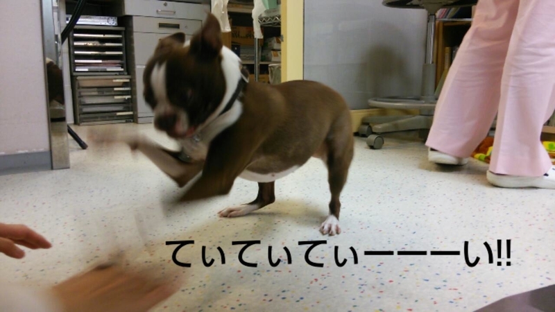 イメージ 2