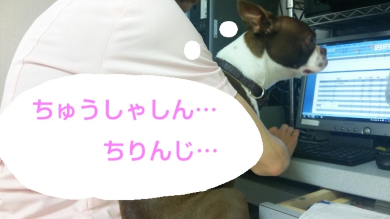 イメージ 3