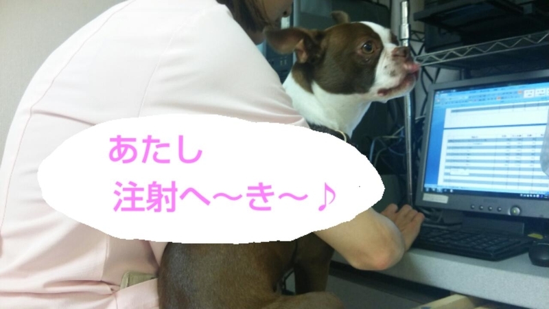 イメージ 4