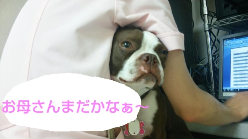 イメージ 5