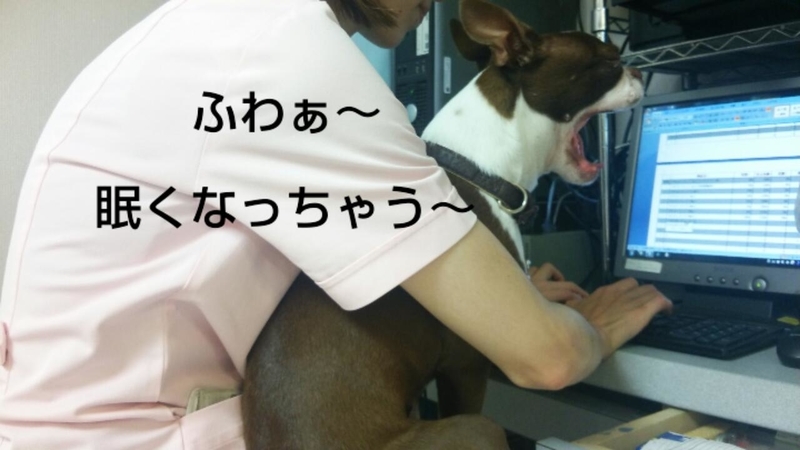 イメージ 6