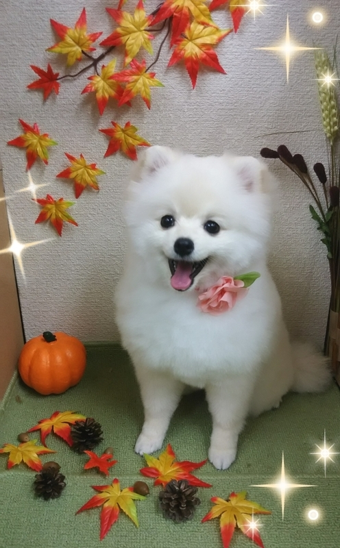 イメージ 3
