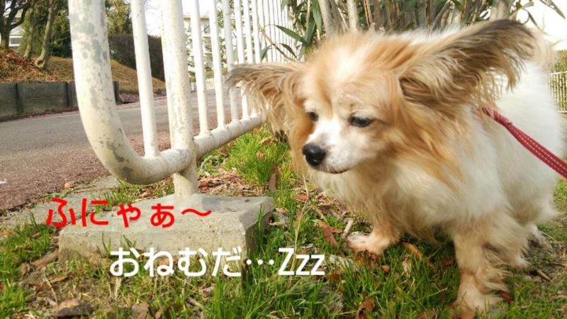 イメージ 2