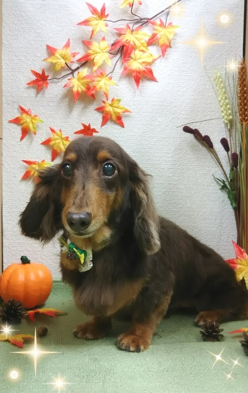 イメージ 4