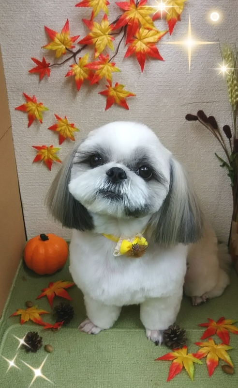 イメージ 3