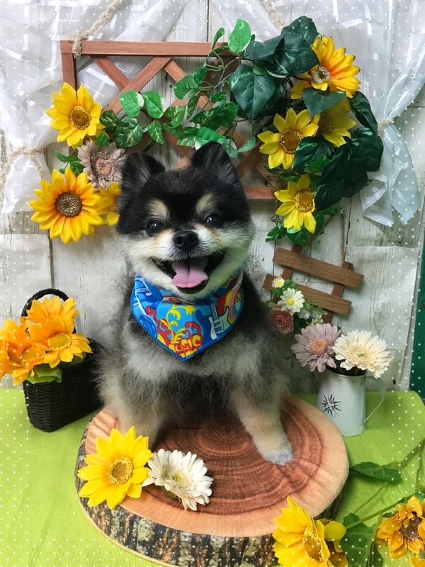 イメージ 3