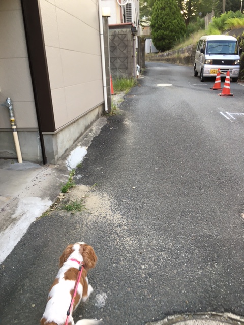 イメージ 8