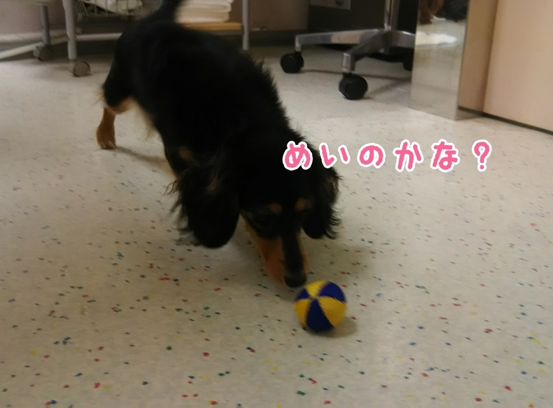 イメージ 4