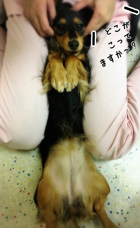 イメージ 7