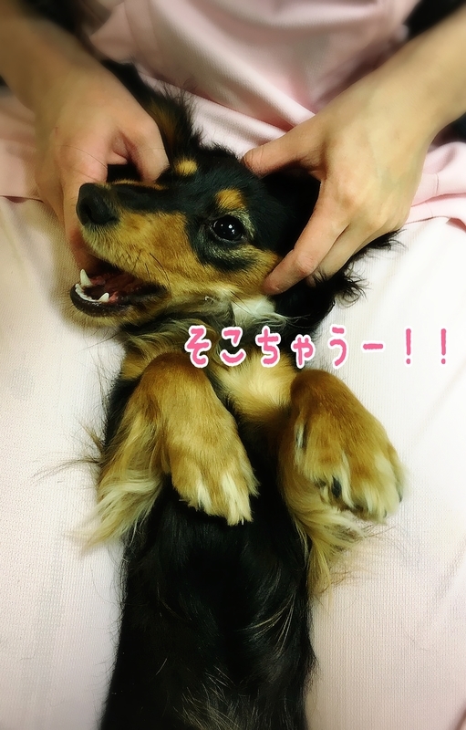 イメージ 8