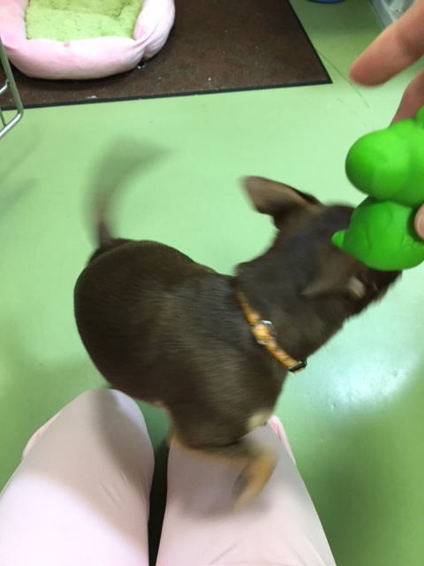 イメージ 3