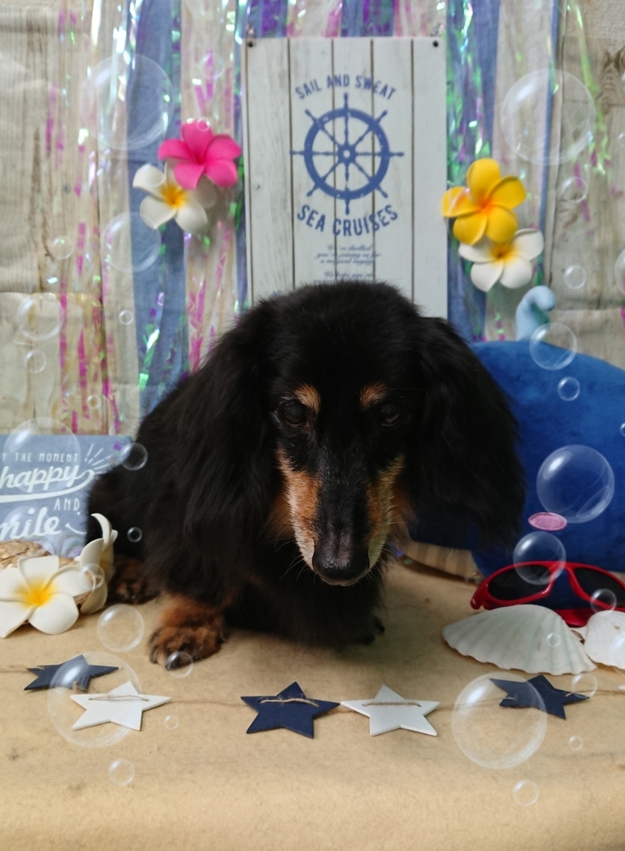 f:id:happy_ac:20190809195406j:plain