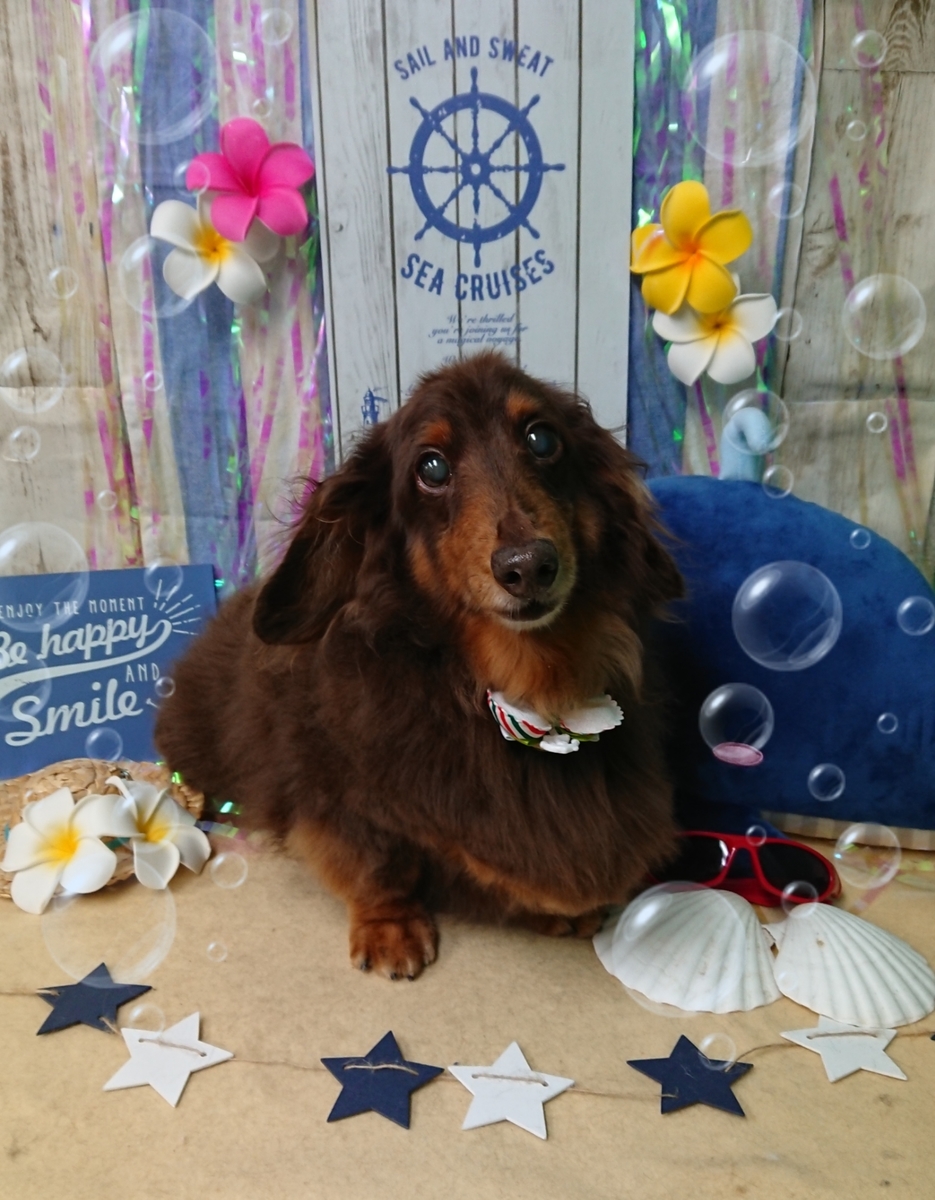 f:id:happy_ac:20190809195407j:plain