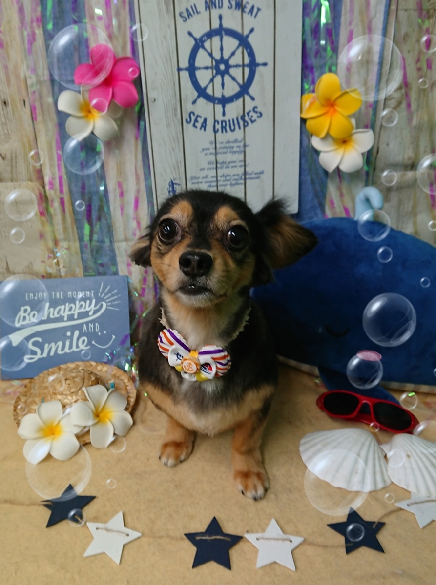 f:id:happy_ac:20190809195411j:plain
