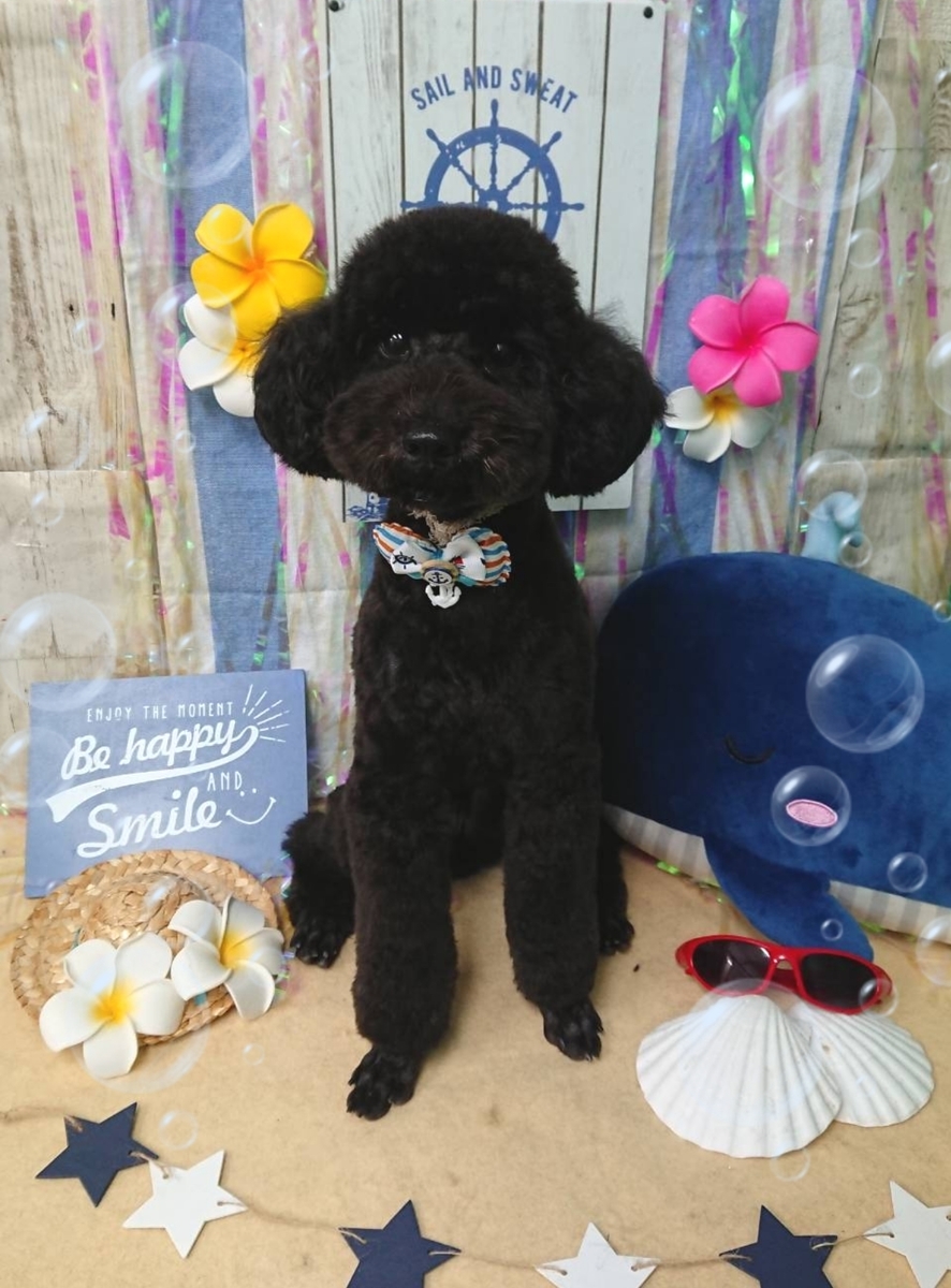 f:id:happy_ac:20190813092143j:plain