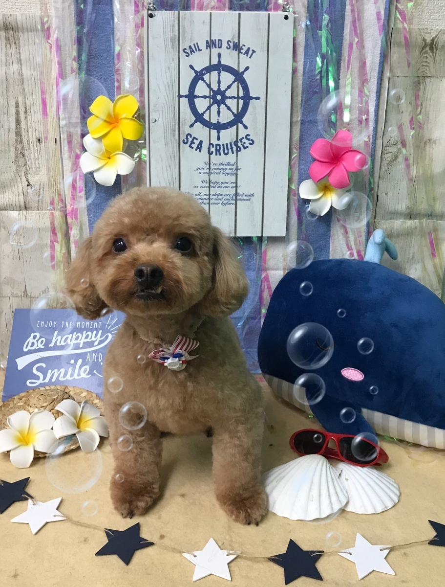 f:id:happy_ac:20190813092304j:plain