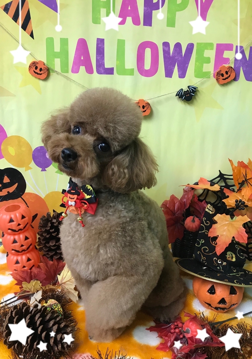 f:id:happy_ac:20190920101029j:plain