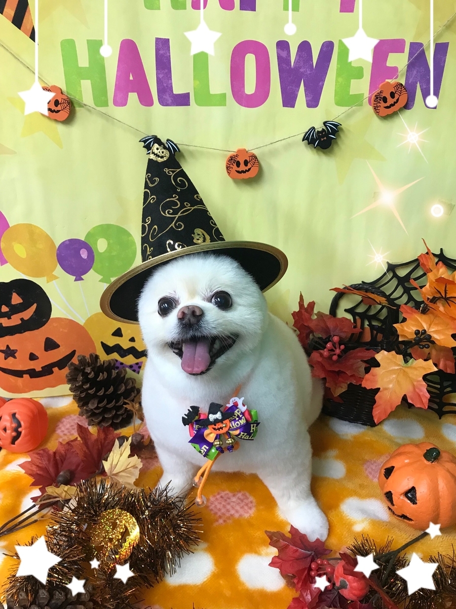 f:id:happy_ac:20190920150358j:plain