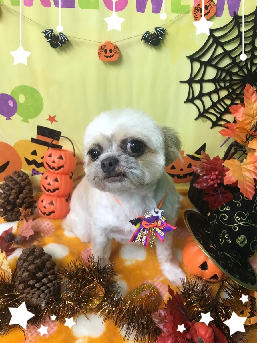 f:id:happy_ac:20191001190606j:plain