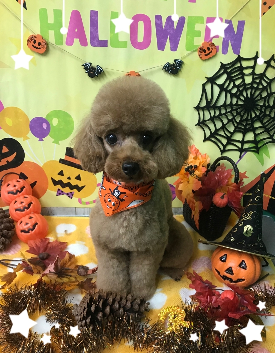 f:id:happy_ac:20191020093034j:plain