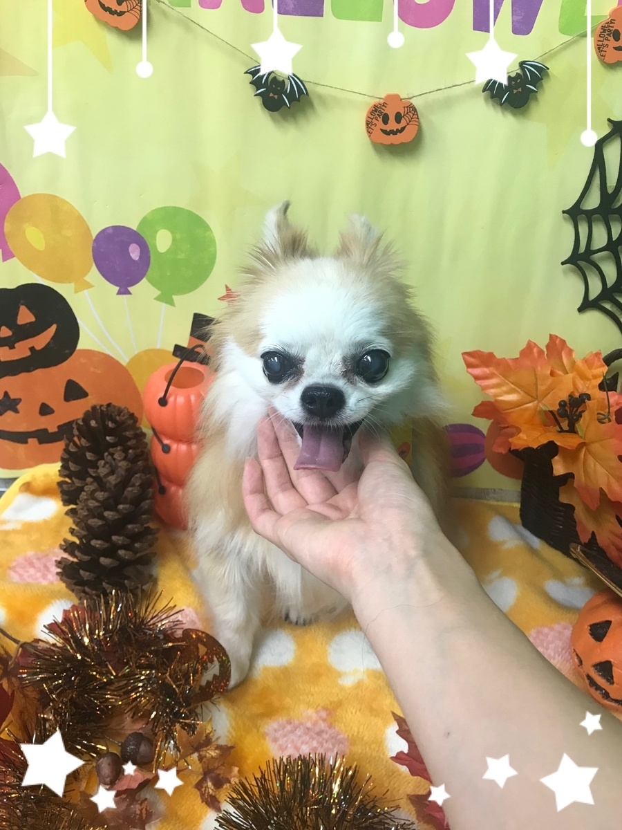 f:id:happy_ac:20191021122416j:plain