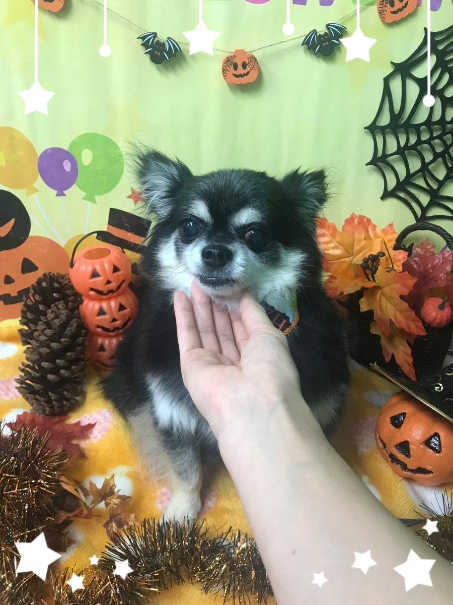 f:id:happy_ac:20191021122503j:plain