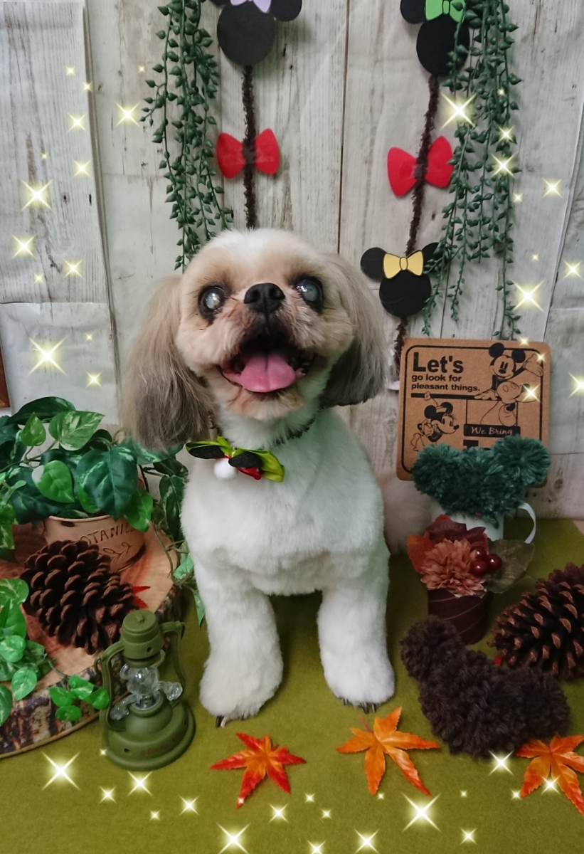 f:id:happy_ac:20191026144410j:plain