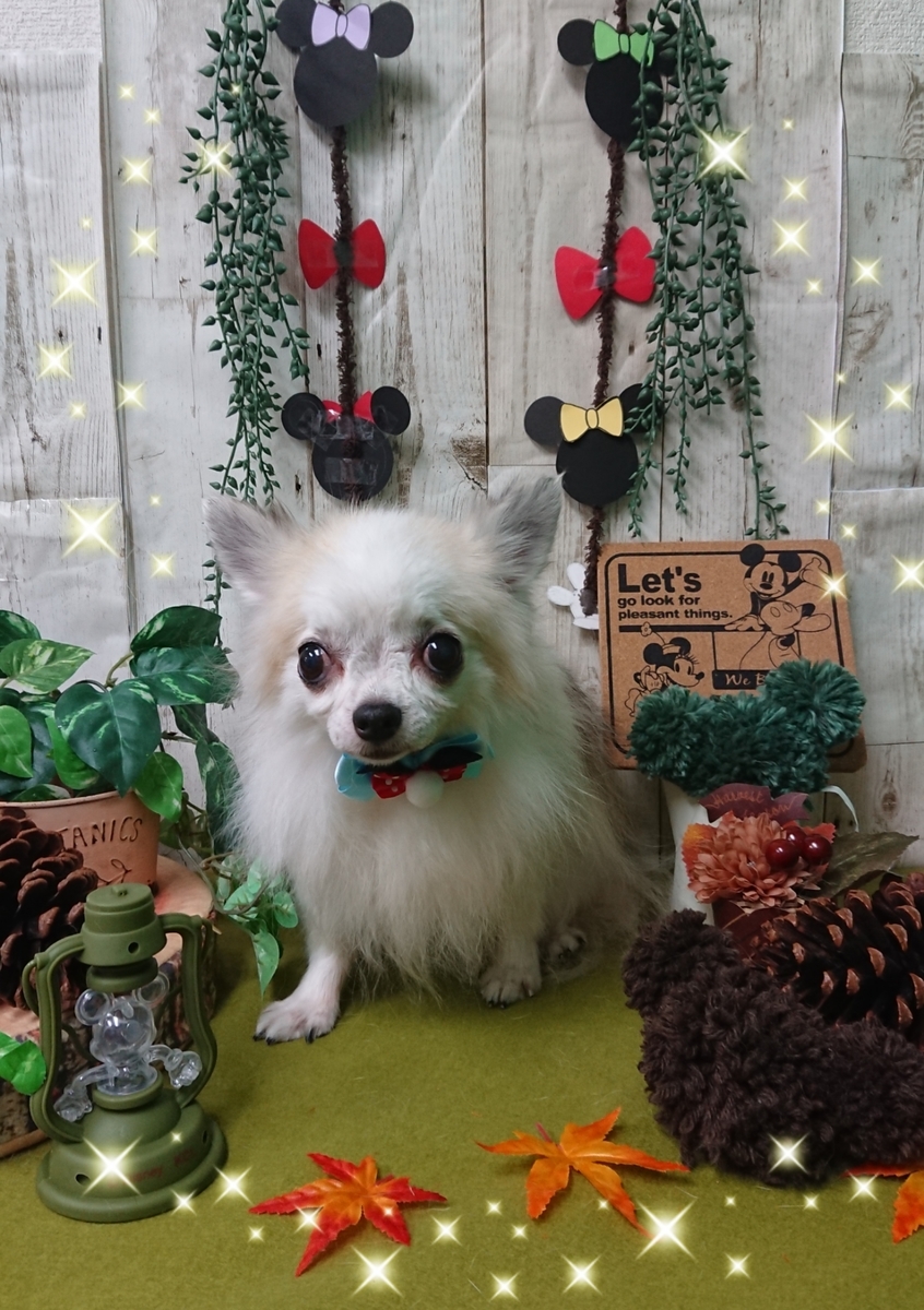 f:id:happy_ac:20191026144510j:plain