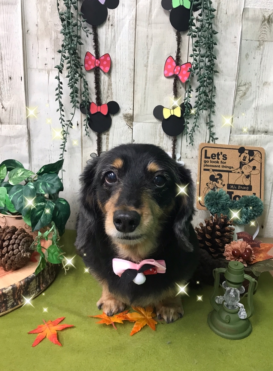 f:id:happy_ac:20191031194023j:plain f:id:happy_ac:20191031194023j:plain