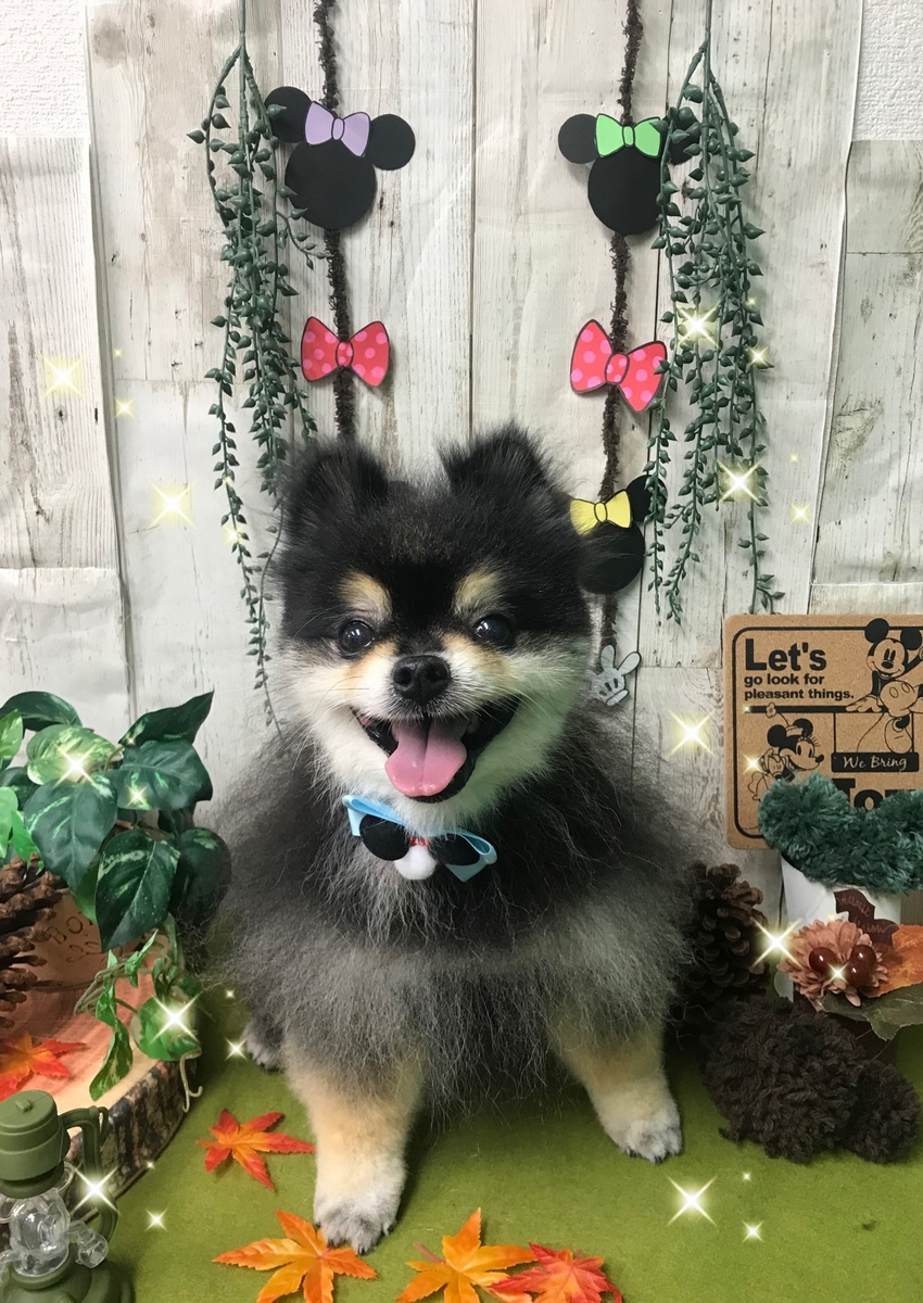 f:id:happy_ac:20191101165026j:plain f:id:happy_ac:20191101165026j:plain
