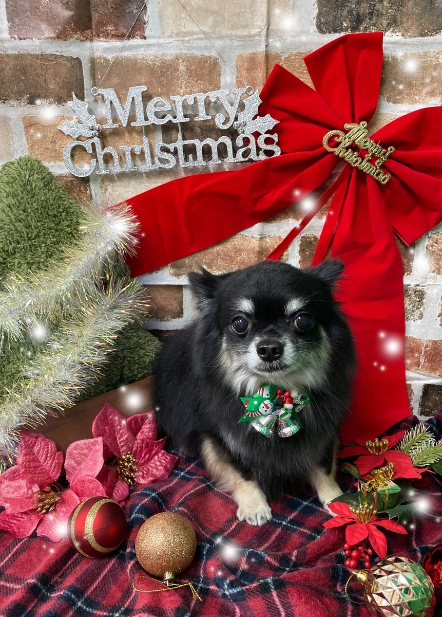 f:id:happy_ac:20191124143707j:plain