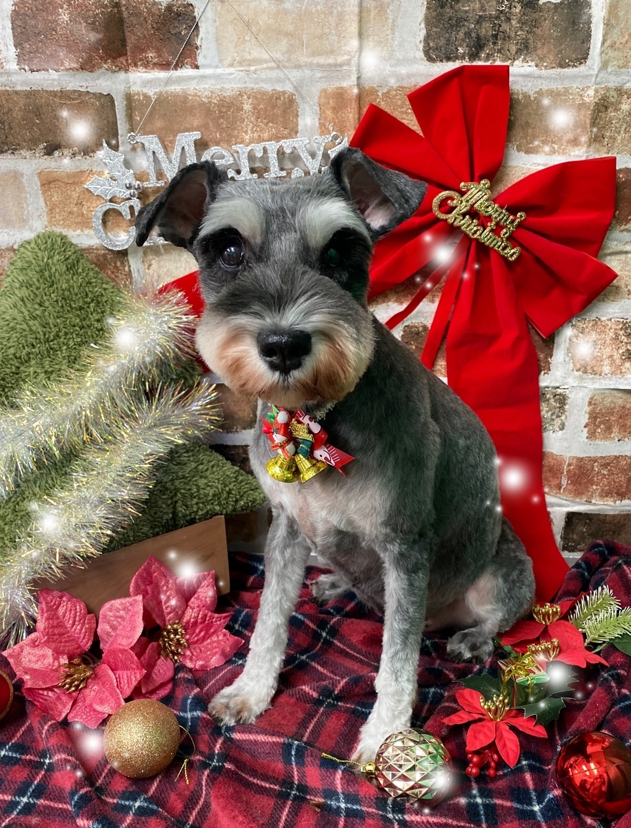 f:id:happy_ac:20191124143758j:plain