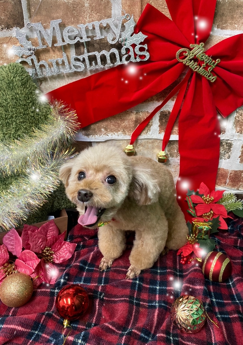 f:id:happy_ac:20191126161850j:plain