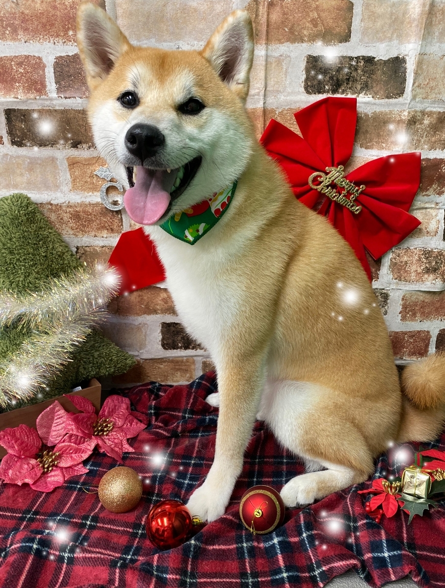 f:id:happy_ac:20191126185445j:plain